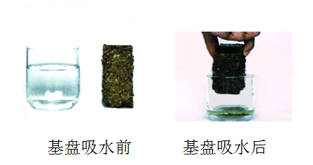 生態磚(圖3) 生態磚(圖3)